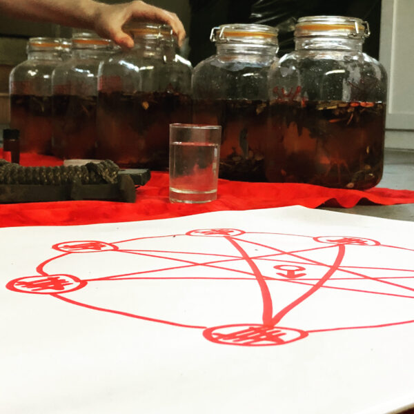 6FF6584C-57B9-48E9-B9A2-CC08AE8FD977 6FF6584C-57B9-48E9-B9A2-CC08AE8FD977