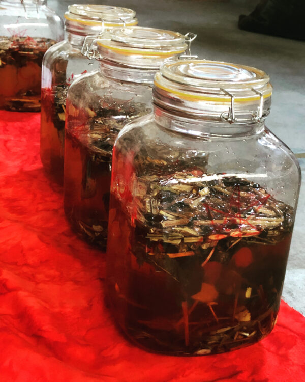 BEF04081-BC37-4EC0-9CB5-4552678B275C BEF04081-BC37-4EC0-9CB5-4552678B275C