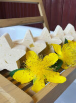 Regulus III Bath Bombs