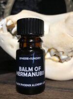 120772753_1509474442558809_23413106004933604_n