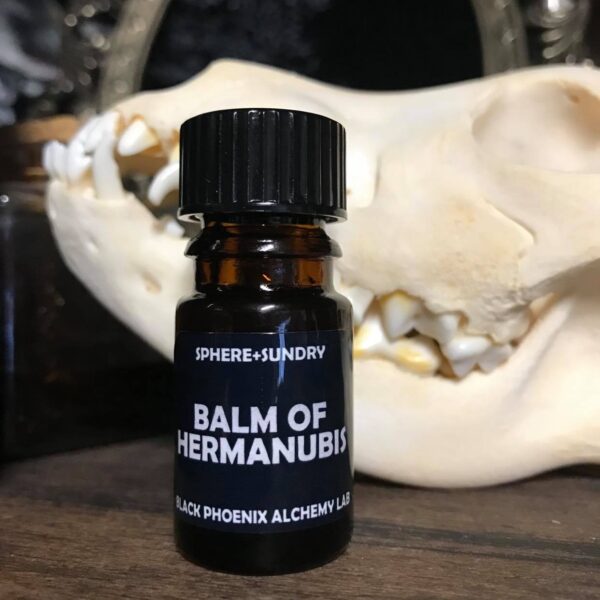 120772753_1509474442558809_23413106004933604_n 120772753_1509474442558809_23413106004933604_n