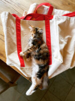 813E7A92-BE1B-4802-94FC-874D70DA2571