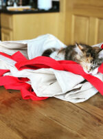 C7C1059A-CC54-4508-8C4F-51C49E7B7CA2