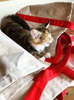 FF7F6352-0F17-4F8A-A3C4-F279D837741F