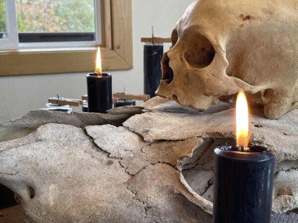 Saturn in Capricorn altar spider Saturn in Capricorn altar spider