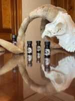 Saturn in Capricorn another bpal