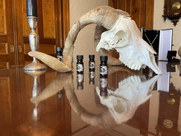 Saturn in Capricorn another bpal Saturn in Capricorn another bpal