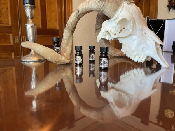 Saturn in Capricorn bpal farthest Saturn in Capricorn bpal farthest