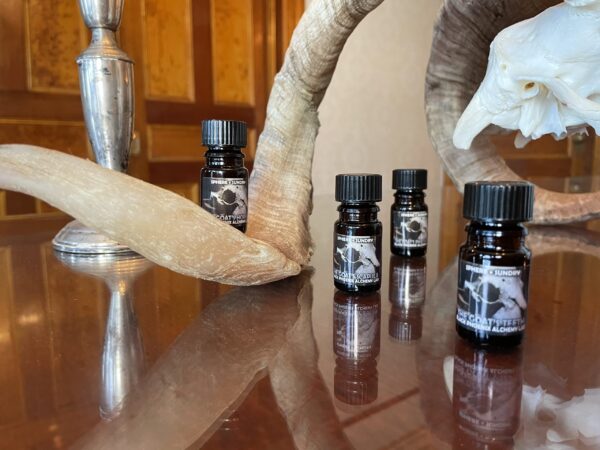 Saturn in Capricorn bpal Saturn in Capricorn bpal