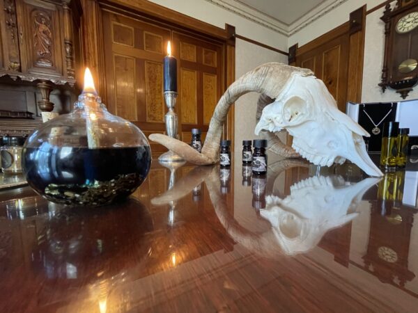 Saturn in Capricorn bpals oil lamp Saturn in Capricorn bpals oil lamp