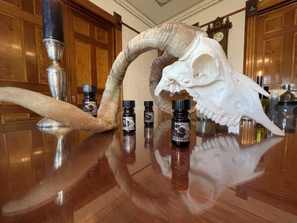 Saturn in Capricorn bpals skewed Saturn in Capricorn bpals skewed