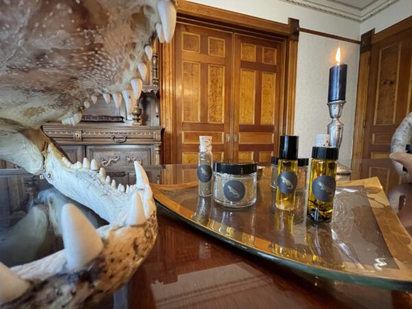 Saturn in Capricorn golden gator mouth closer Saturn in Capricorn golden gator mouth closer