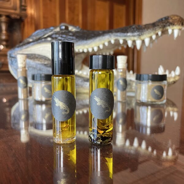 Saturn in Capricorn golden gator oil Saturn in Capricorn golden gator oil