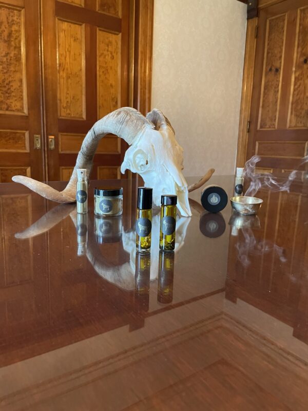 Saturn in Capricorn golden goat Saturn in Capricorn golden goat