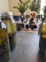 Saturn in Capricorn oils glyph