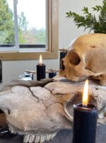 Saturn in Capricorn spider web