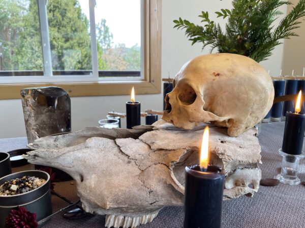 Saturn in Capricorn spider web Saturn in Capricorn spider web