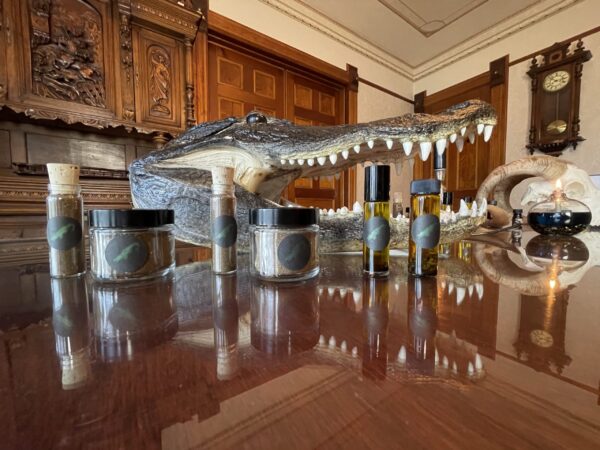 Saturn in Capricorn swamp gator far Saturn in Capricorn swamp gator far