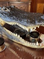 Saturn in Capricorn swamp gator incense