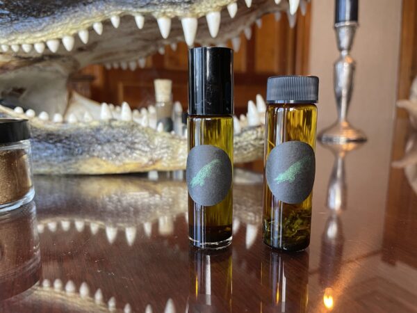 Saturn in Capricorn swamp gator oil Saturn in Capricorn swamp gator oil