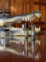 Saturn in Capricorn swamp gator