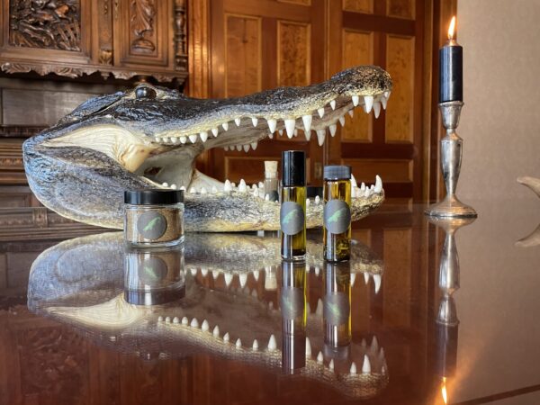 Saturn in Capricorn swamp gator Saturn in Capricorn swamp gator