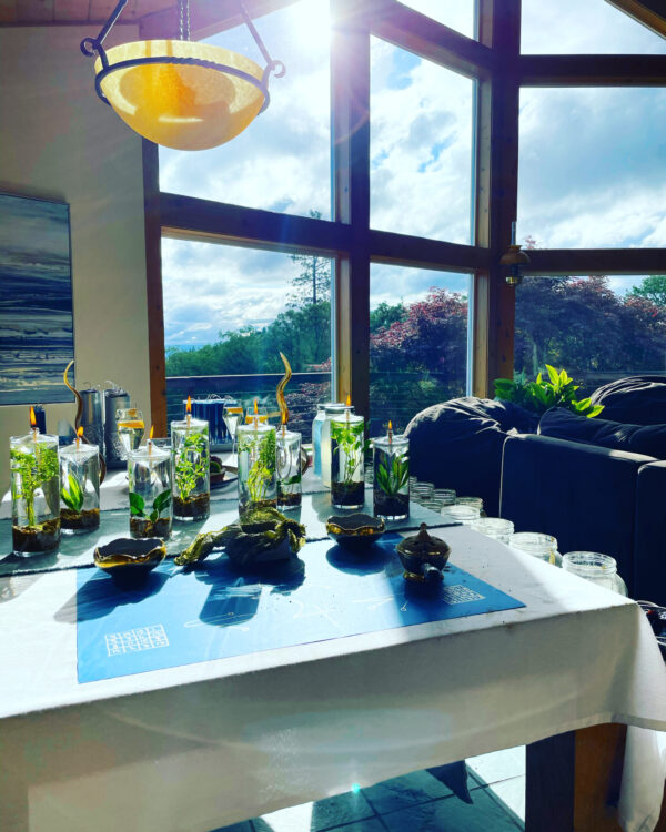 2CB94B6F-EFAC-4FA6-9E77-5528BCD3D48A 2CB94B6F-EFAC-4FA6-9E77-5528BCD3D48A