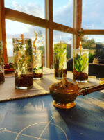 5682C21B-EF4B-4E1F-8E3E-2E8CE3A2B477