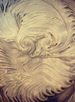 7421F6D5-1615-45C1-99CC-2673FB71E674