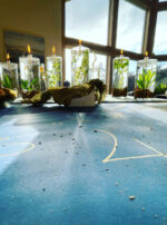 775A528D-1B57-444F-908C-3BA75002E556