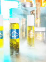 A3721644-7575-43AA-82D6-13388DB43224