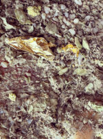 D0F35C7B-CFFB-48D8-84D6-2E77B2C33271