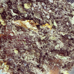 The Cloud King’s Honey