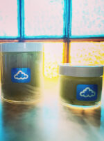 DFF8E84C-C8FA-4A8C-A68D-B558365F57D9