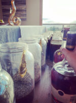 FF42C2E9-FBDE-4AD7-889A-44F8F3D76B7B