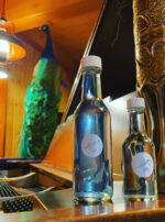 Quicksilver Tongue kolonia 2