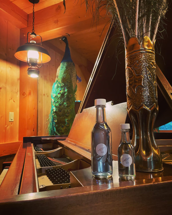 Quicksilver Tongue kolonia 3 Quicksilver Tongue kolonia 3