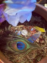 Quicksilver Tongue waters interior still pot