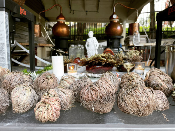 5252054B-B7B3-48BE-928E-F6800436D9A6 5252054B-B7B3-48BE-928E-F6800436D9A6