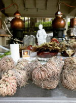 5252054B-B7B3-48BE-928E-F6800436D9A6