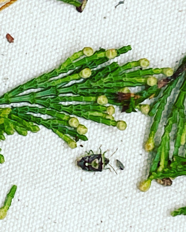 97D1CB97-E6DF-49DB-ACAB-74DF04CE3B5A 97D1CB97-E6DF-49DB-ACAB-74DF04CE3B5A