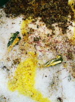 Regulus III bath salt creation