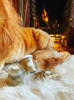 Regulus III bath salts lion fire main