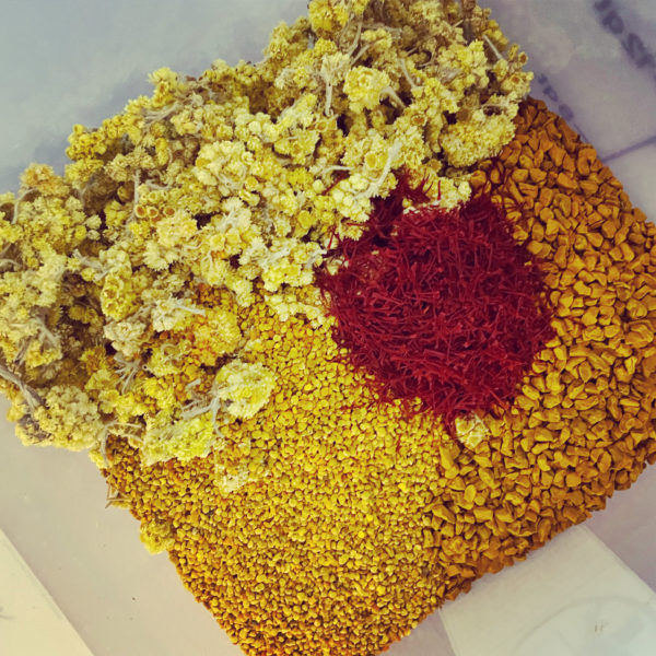 Regulus III ink stain Regulus III ink stain