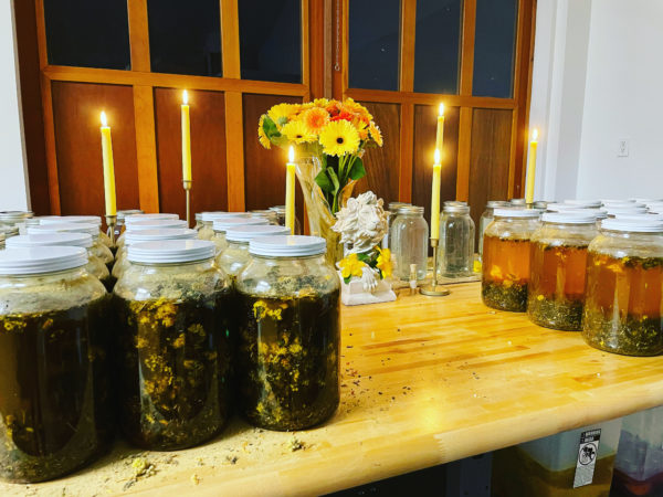 Regulus III oils salves creation body butter Regulus III oils salves creation body butter