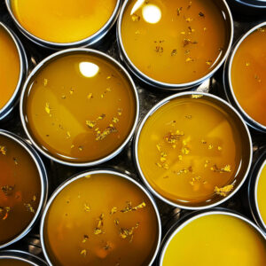 Salve of Regulus III