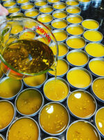 Regulus III salves pouring gold