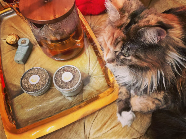 Regulus III steep and smoke sumo 2 Regulus III steep and smoke sumo 2