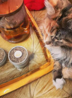 Regulus III steep and smoke sumo 2