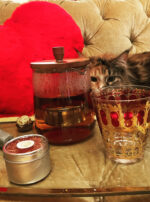 Regulus III tea steep and smoke sumo